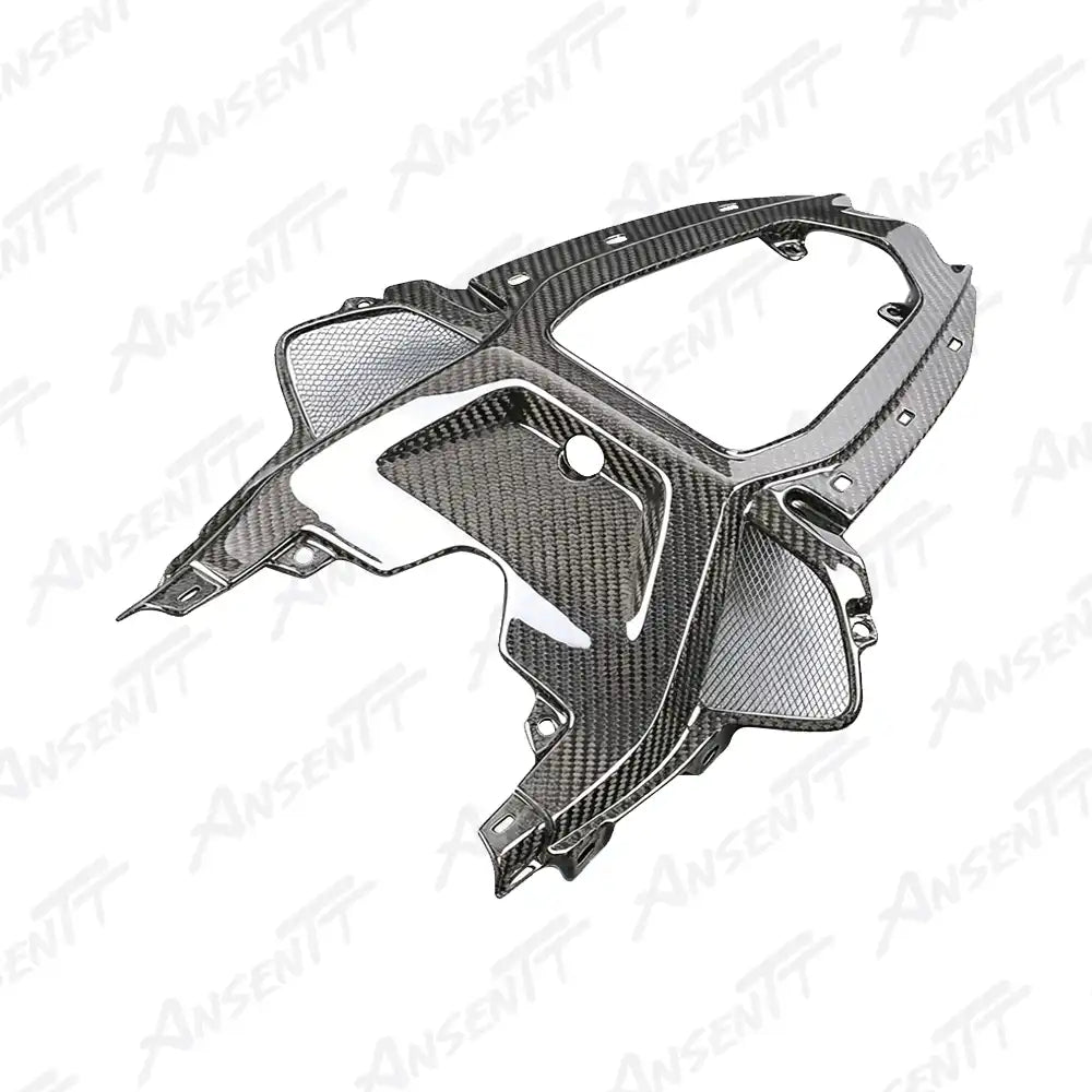 Carbon Fiber Tail Center Panel (Passenger Version) for BMW M1000RR 2021-2022 - 2x2 Twill Glossy
