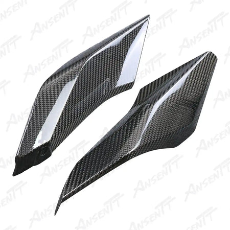 Carbon Fiber Rear Tail Side Cowls (Pair) for BMW R1250RS 2021-2024, 2x2 Twill Weave (Glossy)
