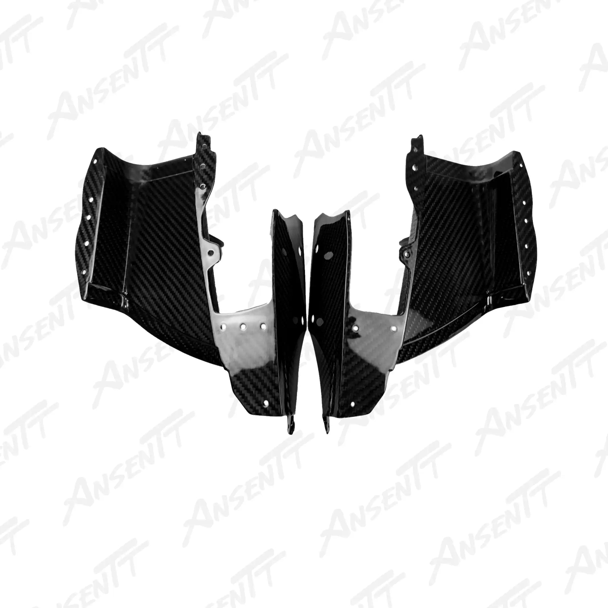 Carbon Fiber Front Nose Air Intake for BMW S1000RR 2023-2024, 2x2 Twill Weave (Glossy)