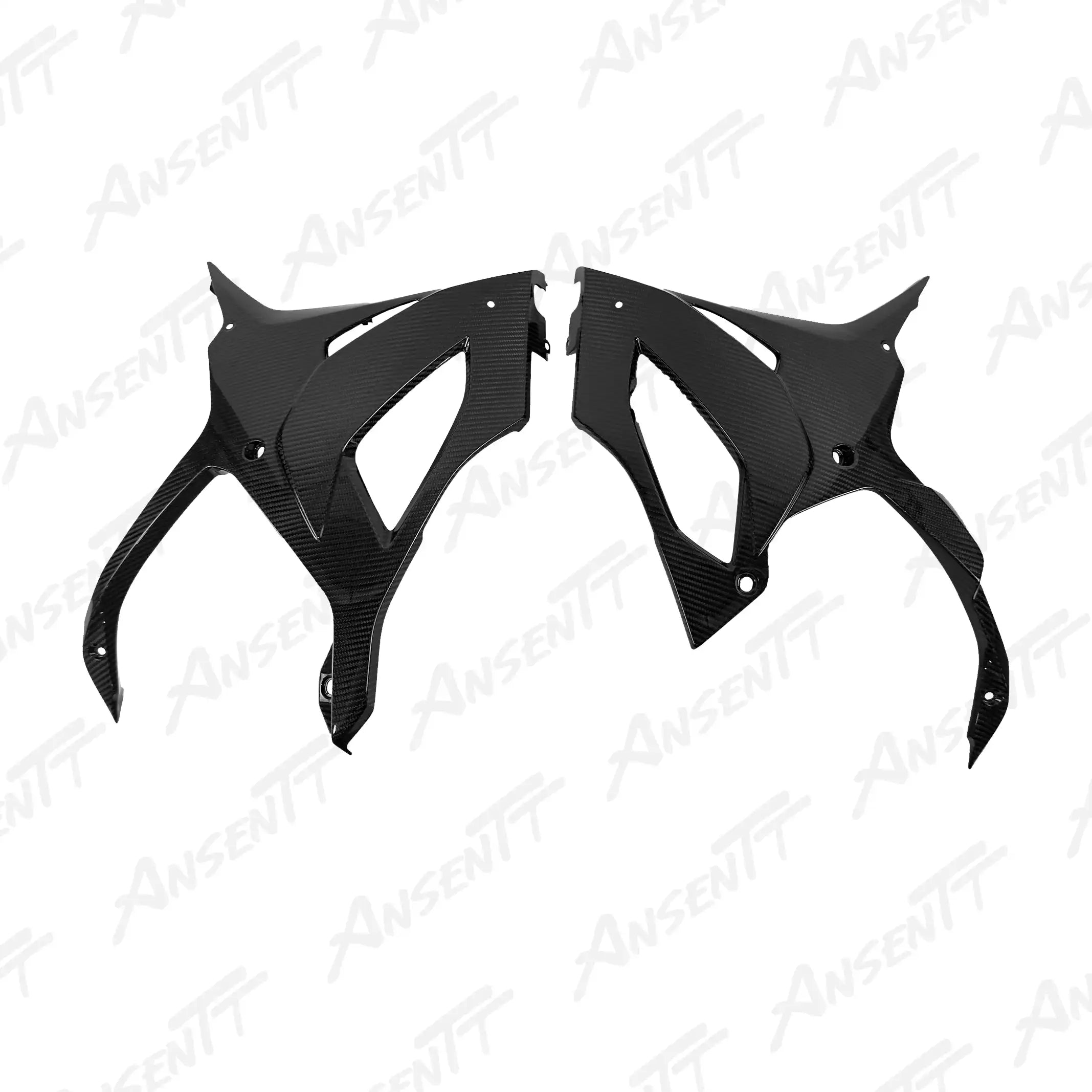 Carbon Fiber Lower Belly Pan for BMW S1000RR 2019-2022, 2x2 Twill Weave (Glossy)