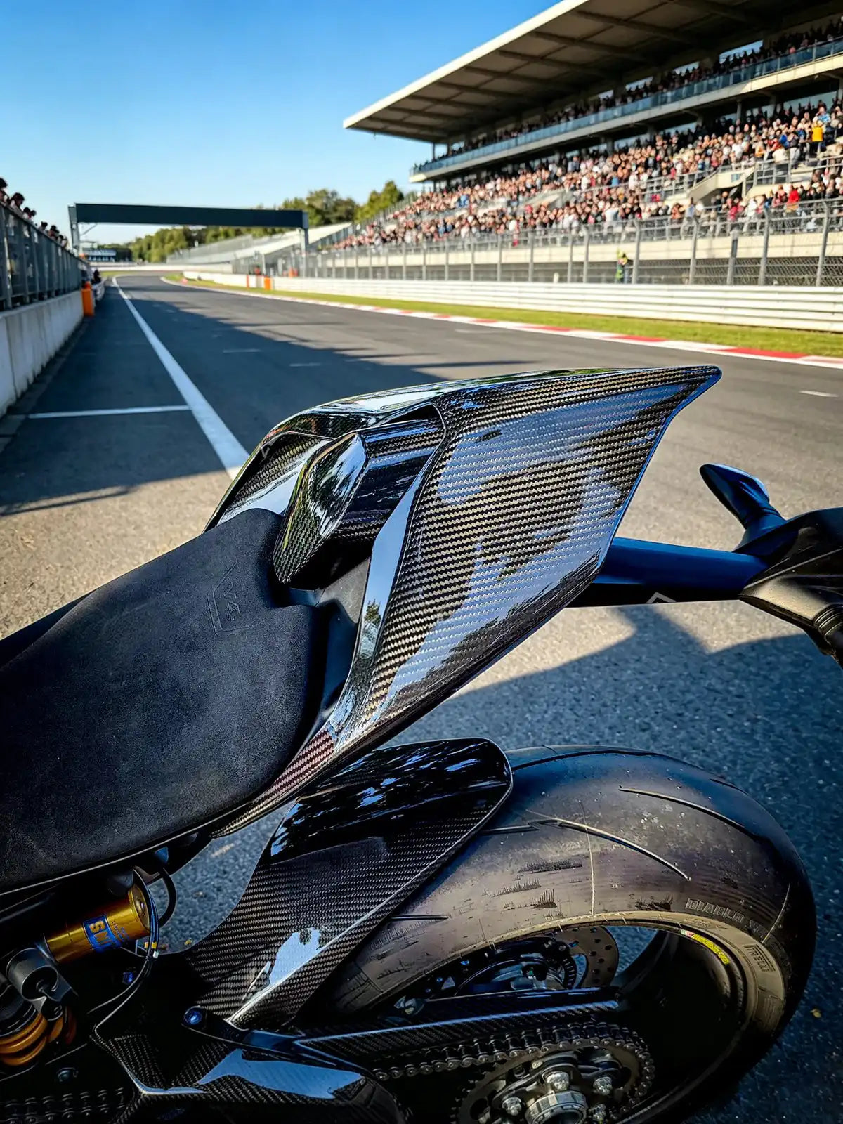 Carbon Fiber Tail Rear Fairing Cowl for Ducati Panigale V4 V4S V4SP V2 & Streetfighter V4 V4S V4SP V2 2018-2024 - 2x2 Twil