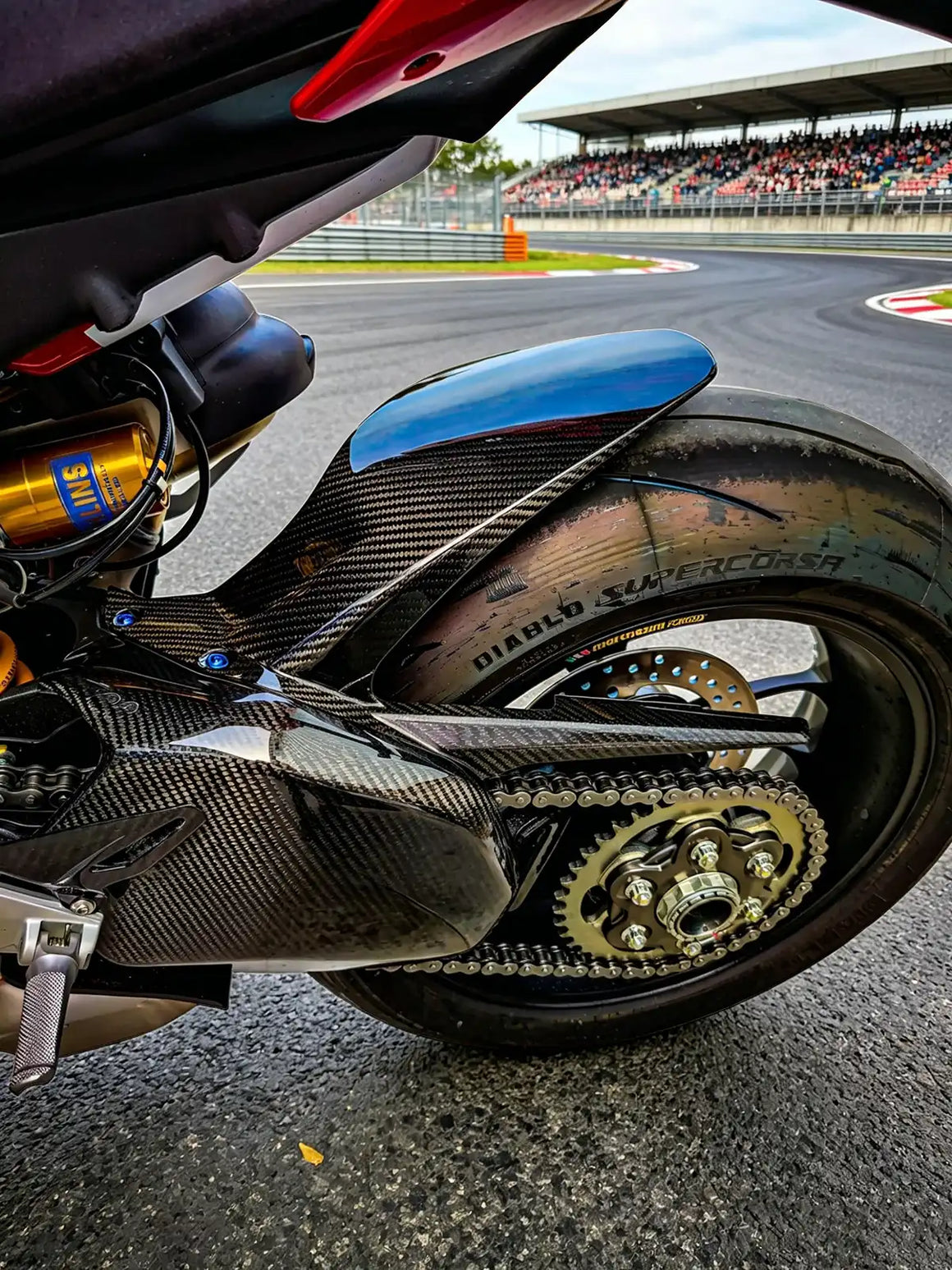 Carbon Fiber Rear Swingarm Cover Protector for Ducati Panigale V4 V4S V4SP (2018-2024) & Streetfighter V4 V4S V4SP (2020-2024) - 2x2 Twill Glossy