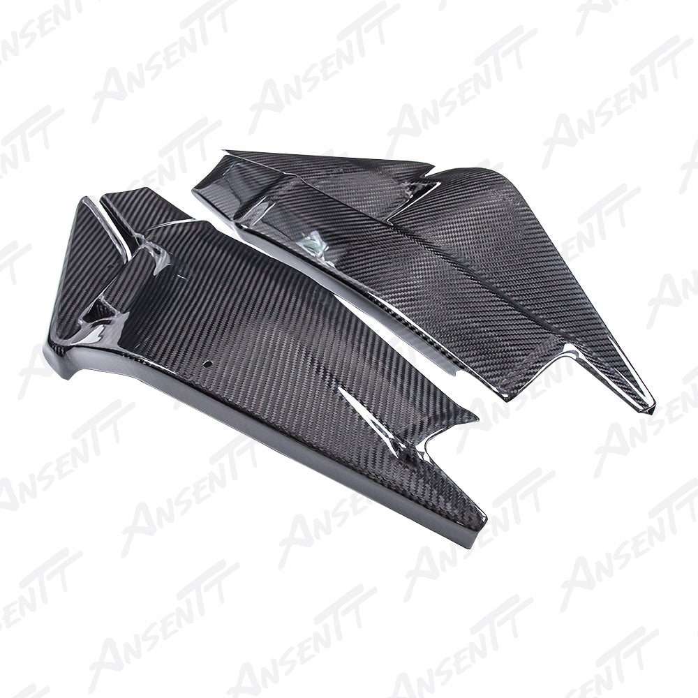 Rear-Swingarm-Cover